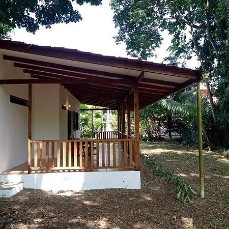 Green Papaya Villa Puerto Viejo de Talamanca Luaran gambar