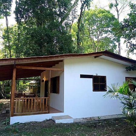 Green Papaya Villa Puerto Viejo de Talamanca Luaran gambar