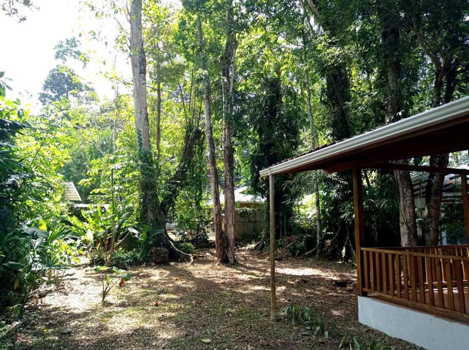 Green Papaya Villa Puerto Viejo de Talamanca Luaran gambar