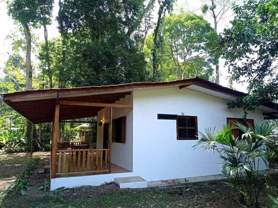 Green Papaya Villa Puerto Viejo de Talamanca Luaran gambar